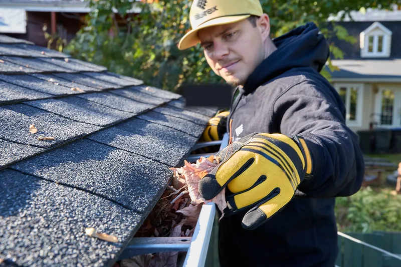 Gutter cleaning — clearing oak leaves and pine needles from a gutter