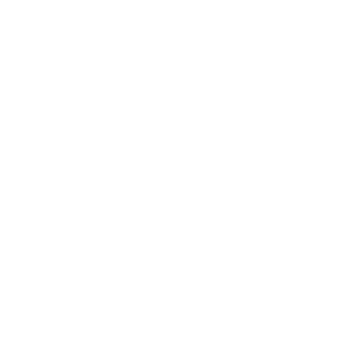 Ice & Snow Guard