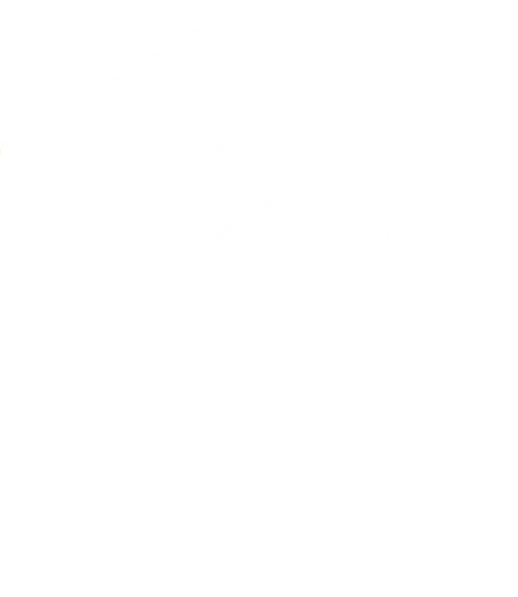 Installation de gouttières