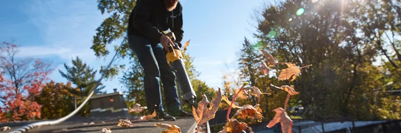 Professional gutter cleaning service